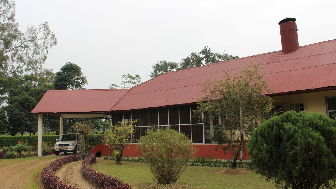 Photo of Outdoor in Tinsukia District