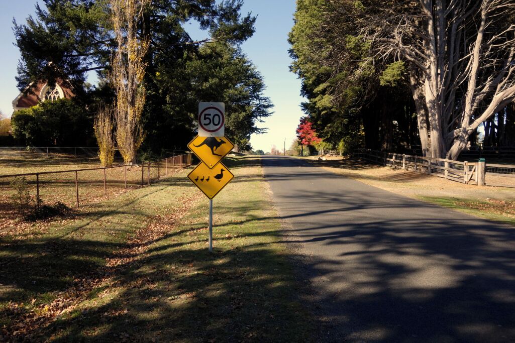Photo of Others in Trentham