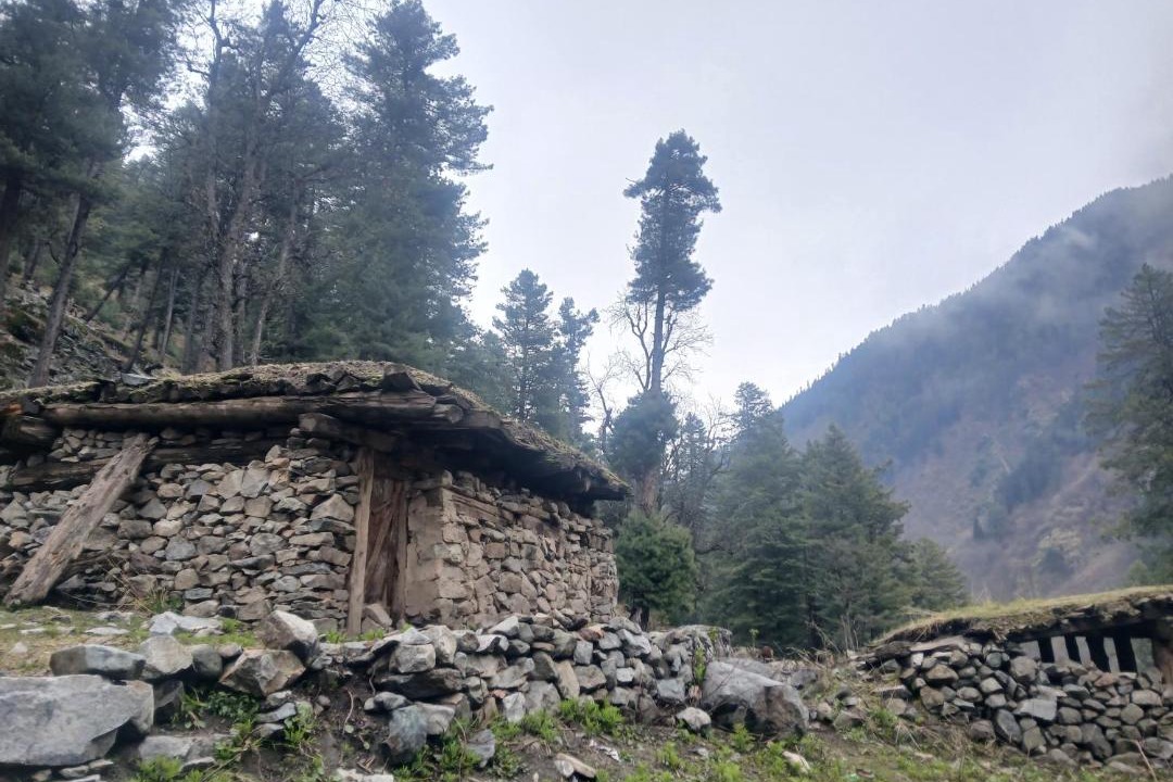 Photo of Others in Gund