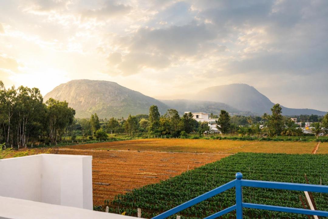 Photo of Others in Nandi Hills