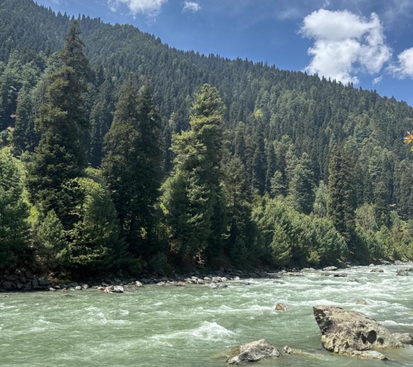 Photo of Others in Pahalgam