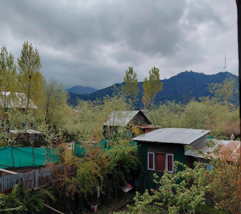 Photo of Others in Srinagar