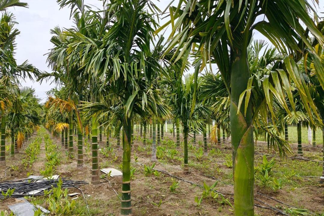 Photo of Others in Coimbatore