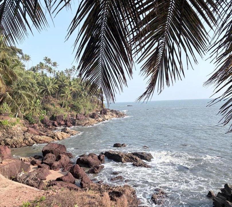 Photo of Others in Kannur