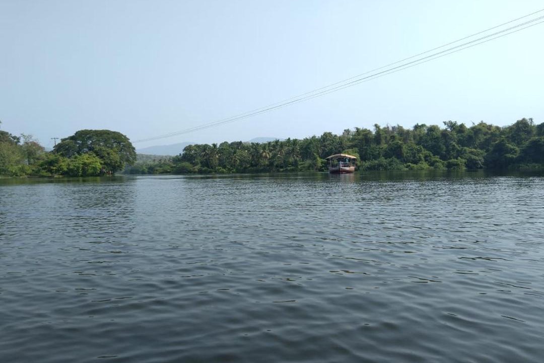 Photo of Others in Devikolam