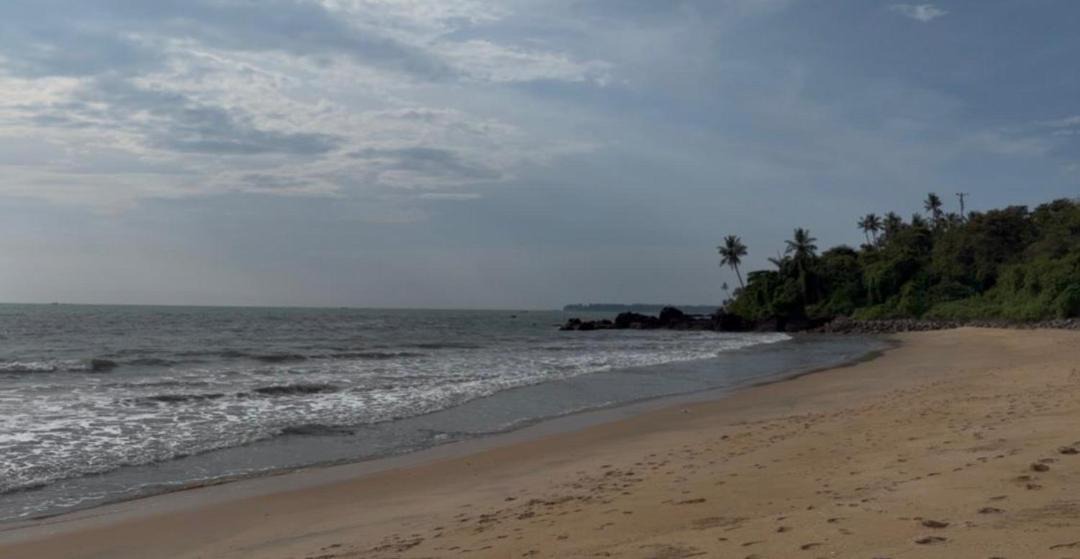 Photo of Others in Kannur