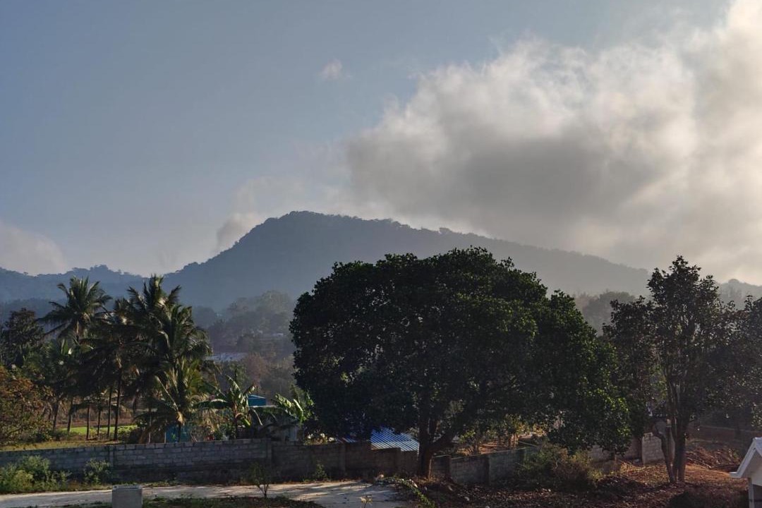 Photo of Others in Yelagiri