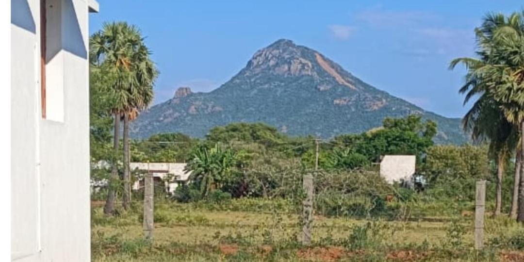 Photo of Others in Tiruvannamalai