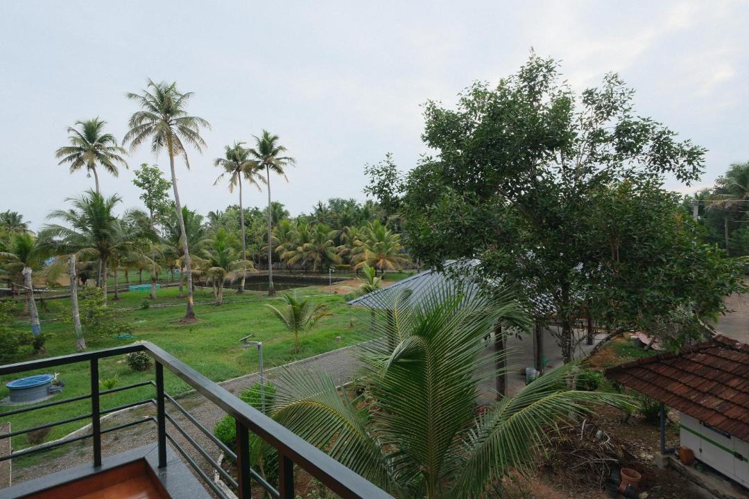 Photo of Others in Andhakaranazhy