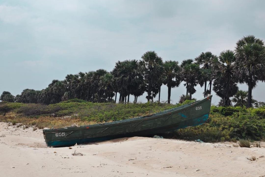 Photo of Others in Mudukulattur