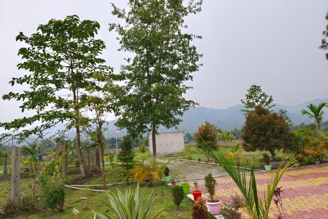 Photo of Others in Kumai