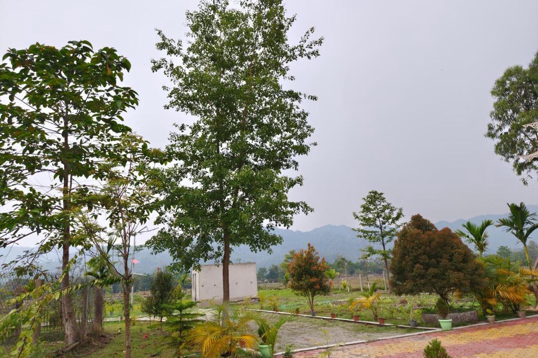 Photo of Others in Kumai
