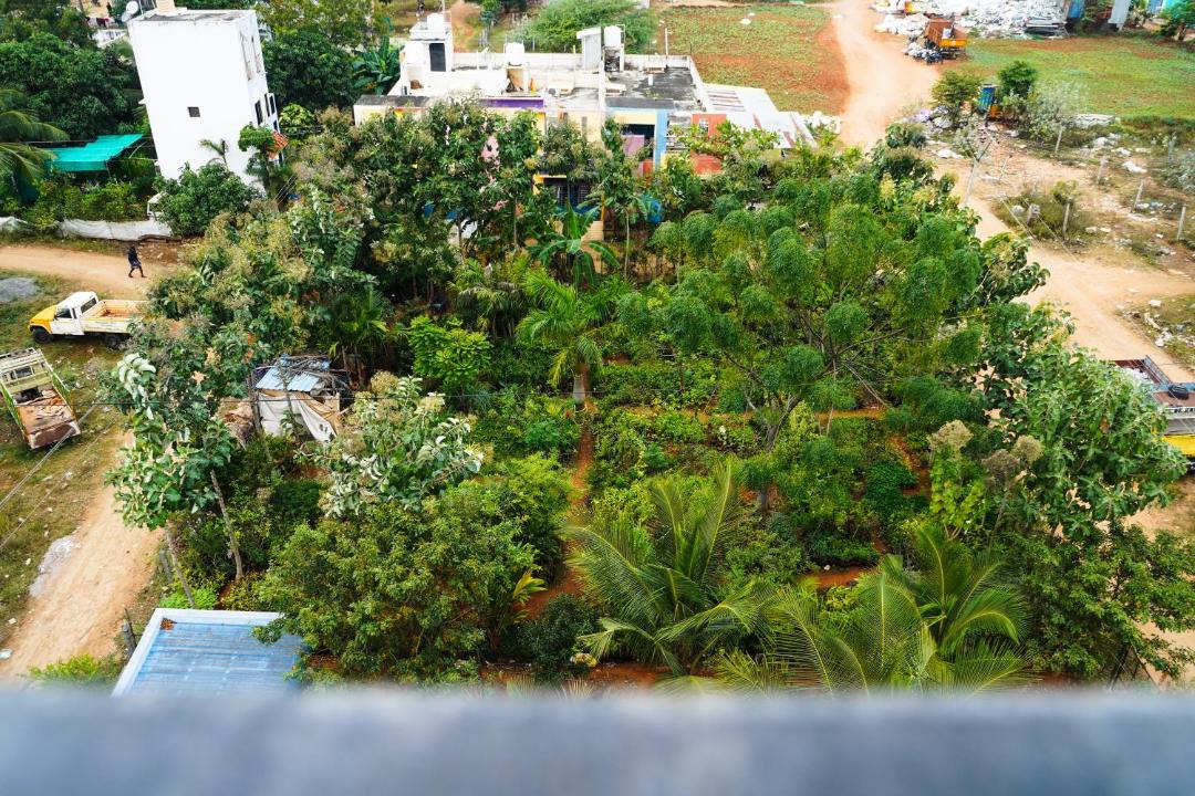 Photo of Others in Tiruvannamalai