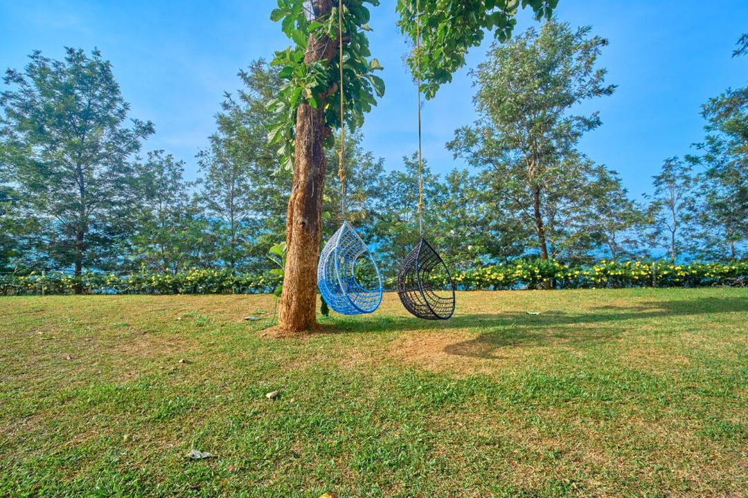 Photo of Outdoor in Udumbanchola