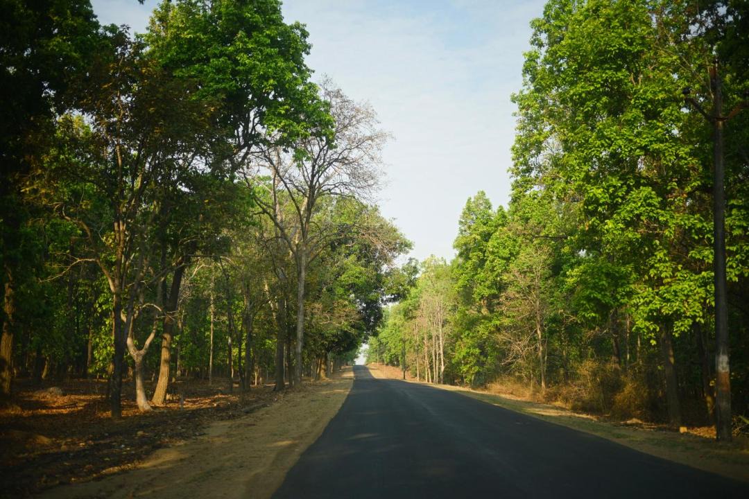 Photo of Others in Mukki