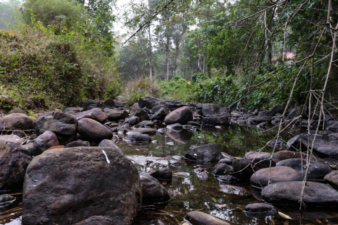 Photo of Others in Vayittiri