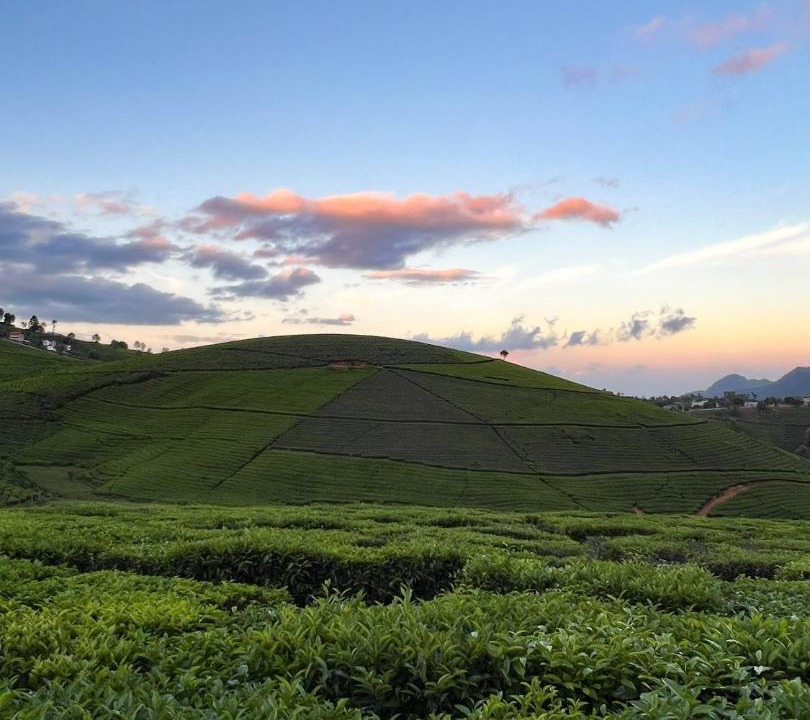 Photo of Others in Coonoor