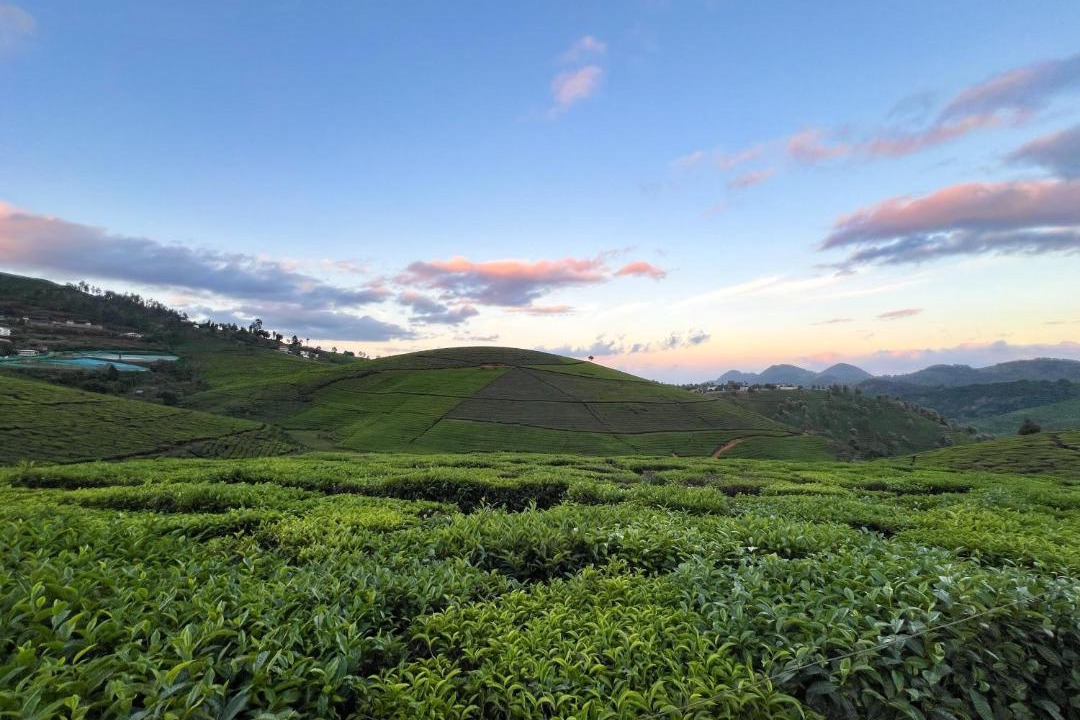 Photo of Others in Coonoor