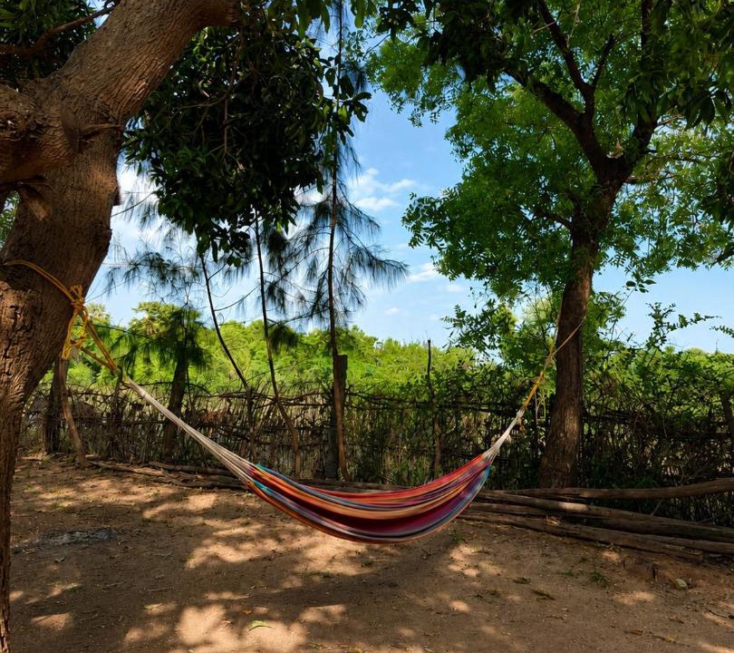 Photo of Others in Auroville