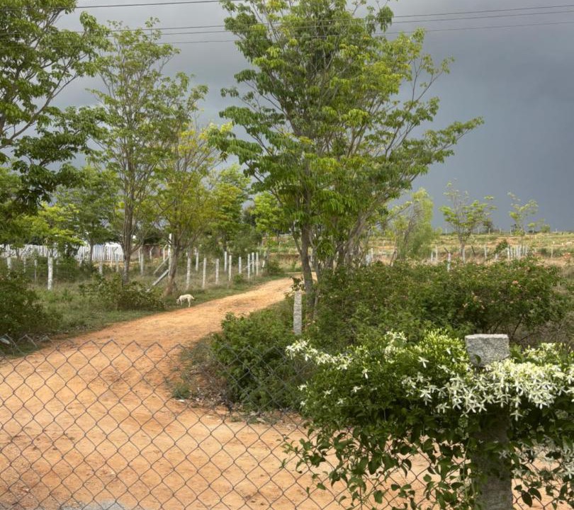 Photo of Outdoor in Hosur