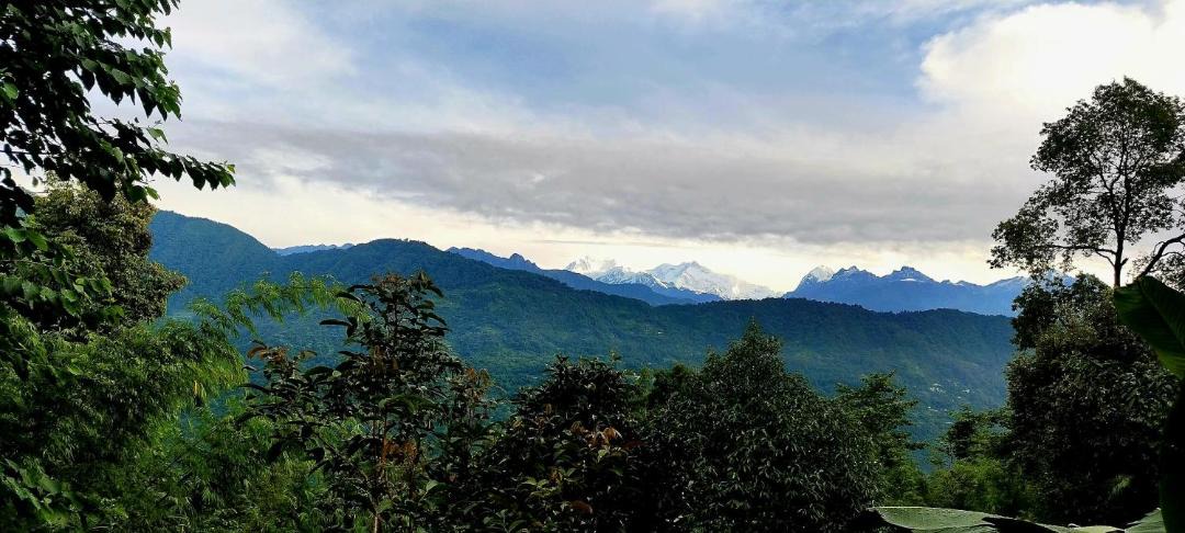 Photo of Others in Pelling