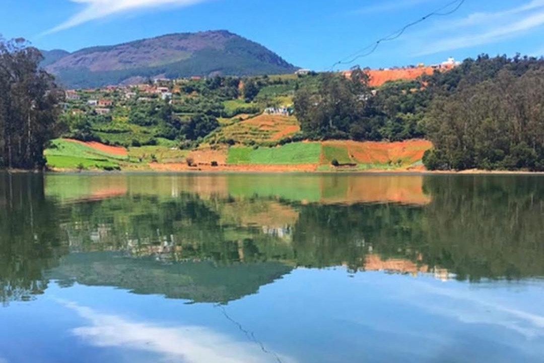 Photo of Others in Ooty