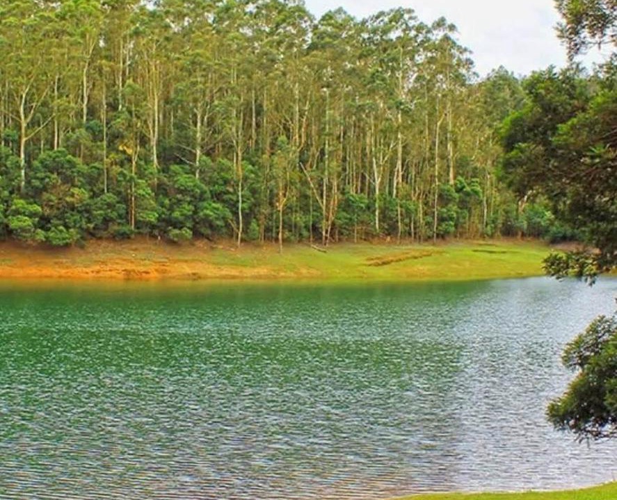 Photo of Others in Ooty