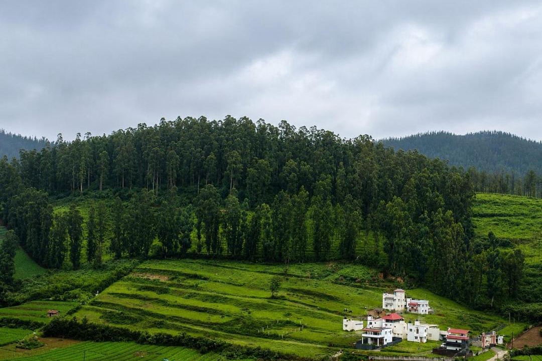Photo of Others in Ooty