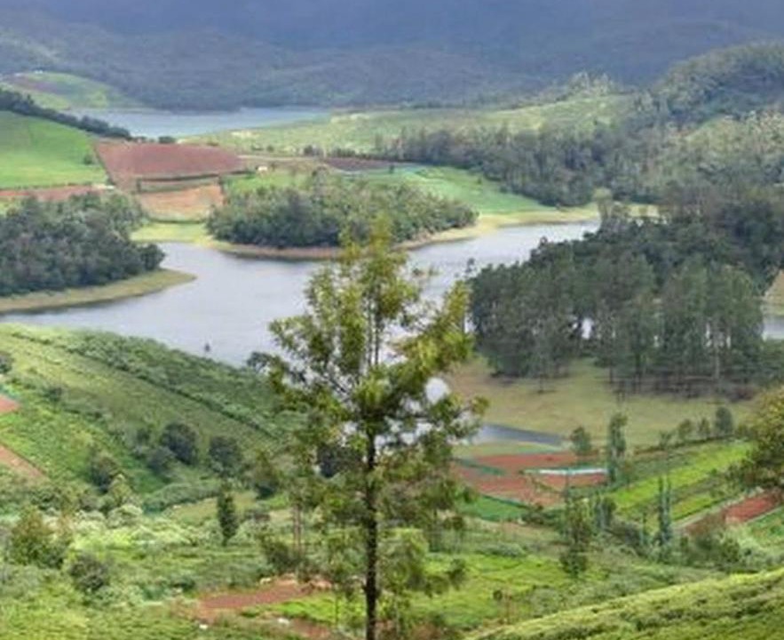 Photo of Others in Ooty