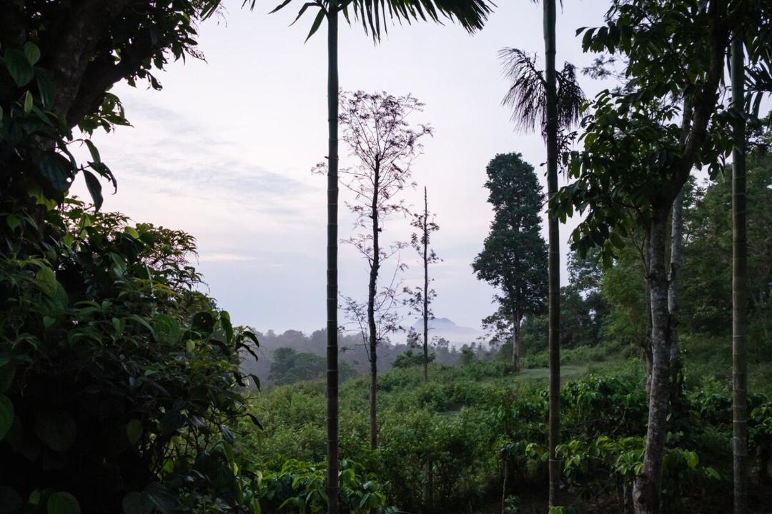 Photo of Others in Vayittiri