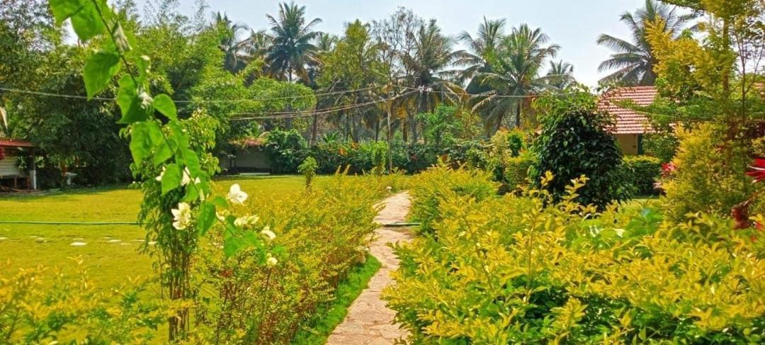 Photo of Outdoor in Channapatna