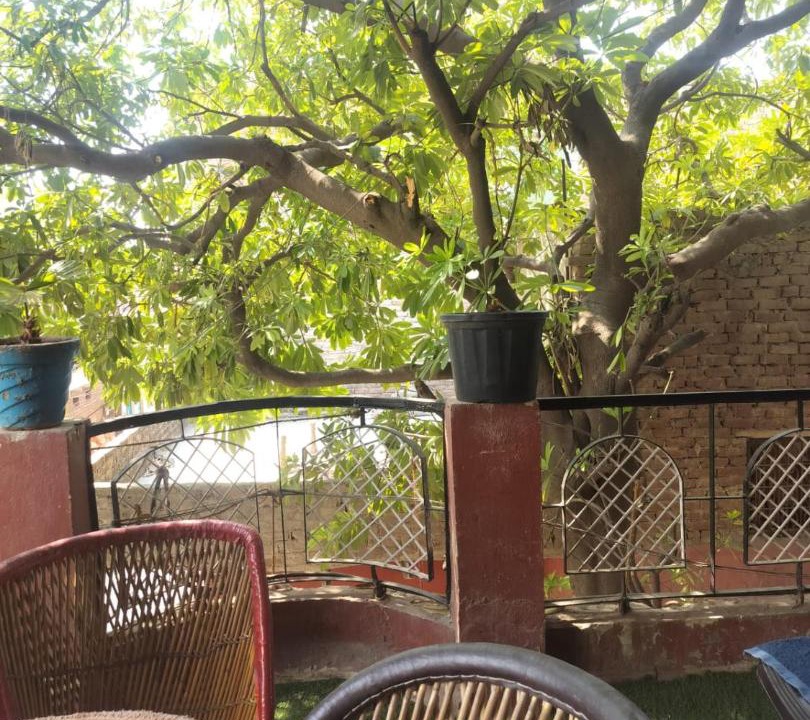 Photo of Others in Mathura