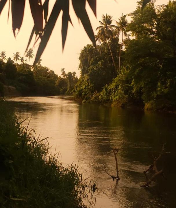 Photo of Others in Irinjalakuda
