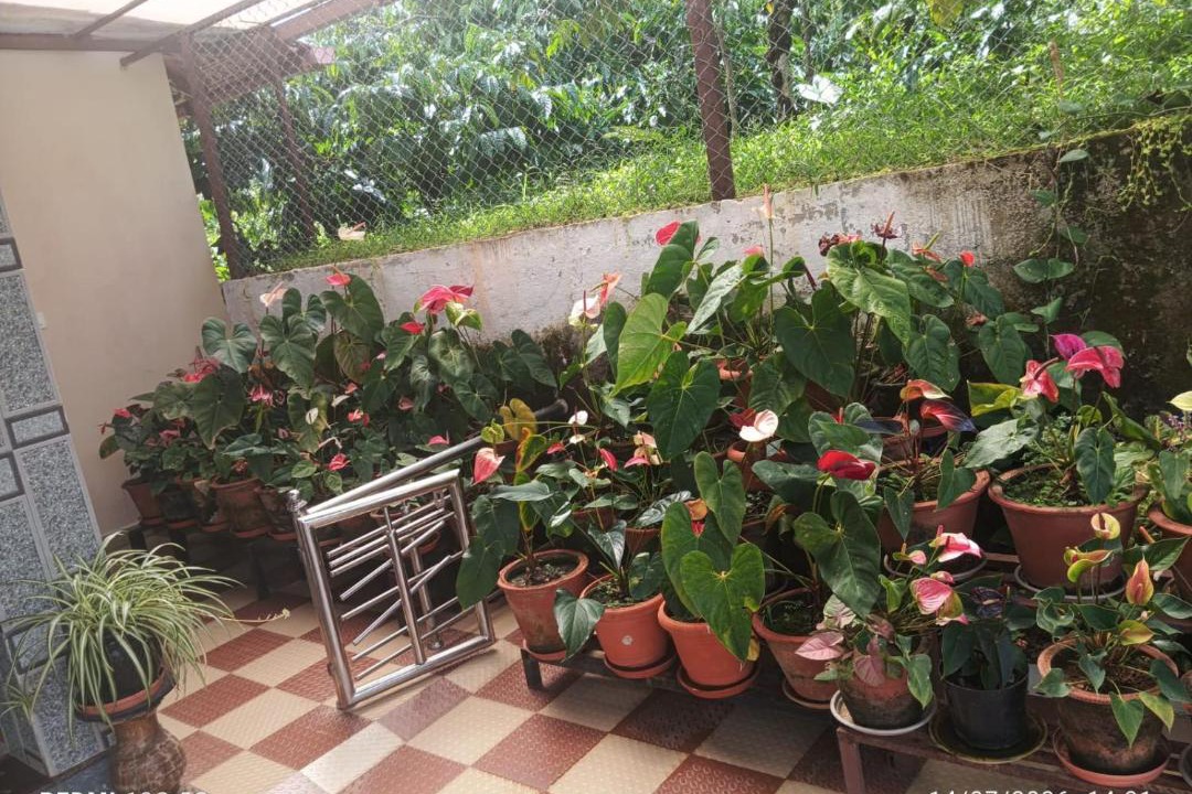 Photo of Others in Samse