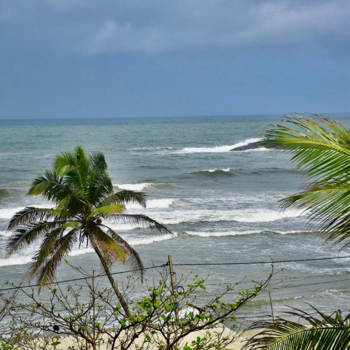 Photo of Others in Kovalam