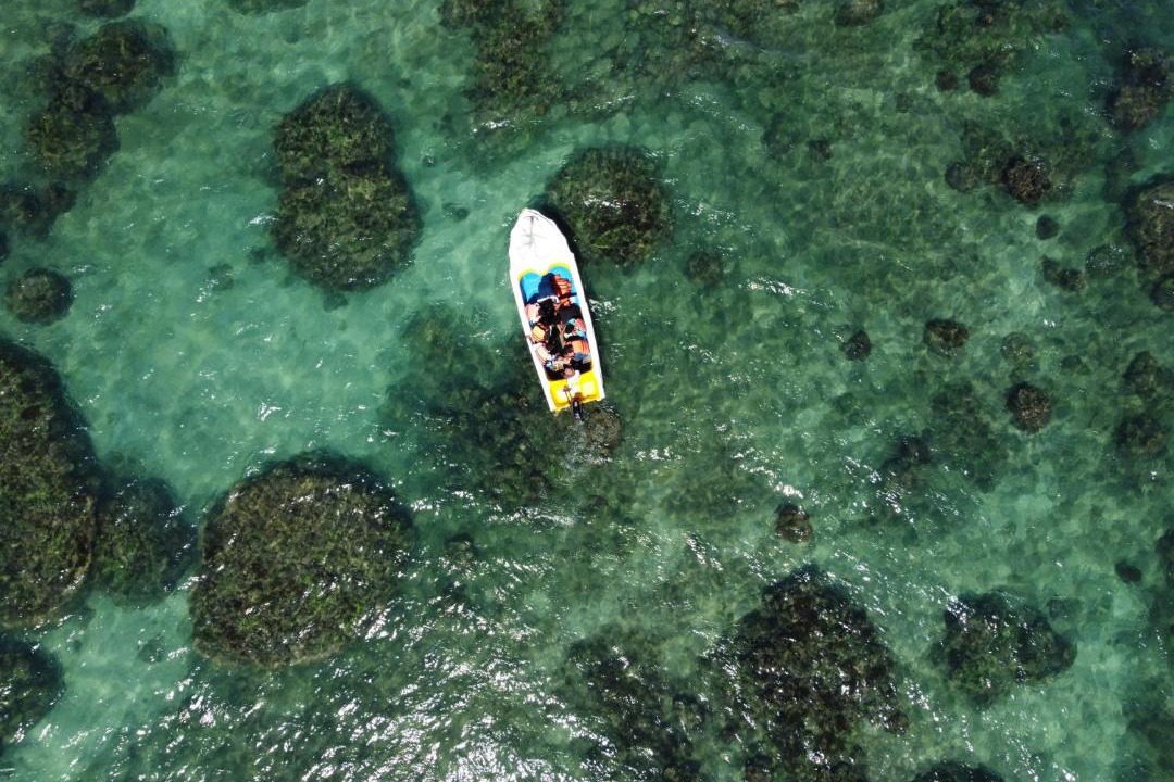 Photo of Others in Rameshwaram