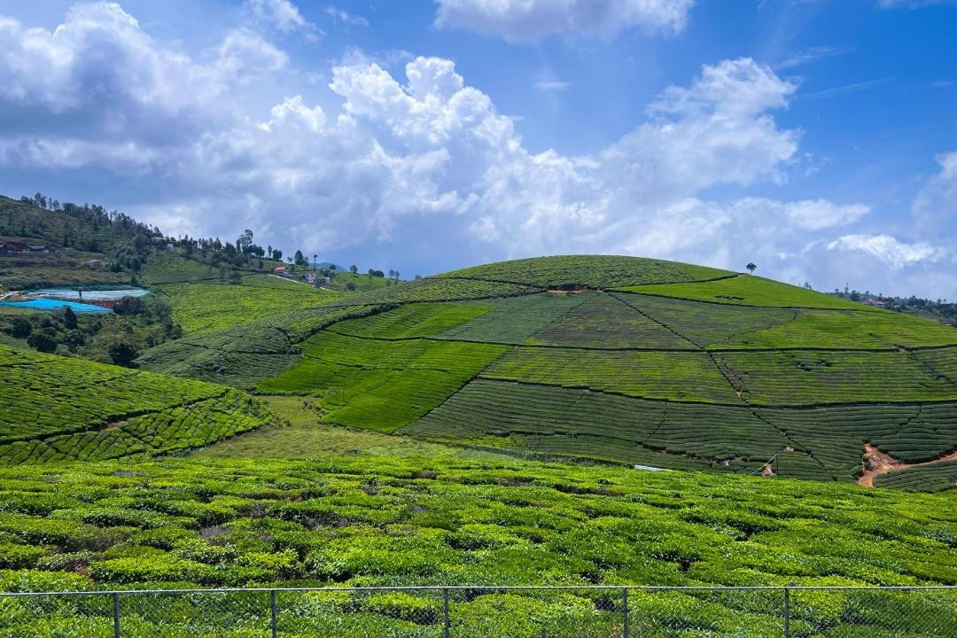 Photo of Others in Coonoor