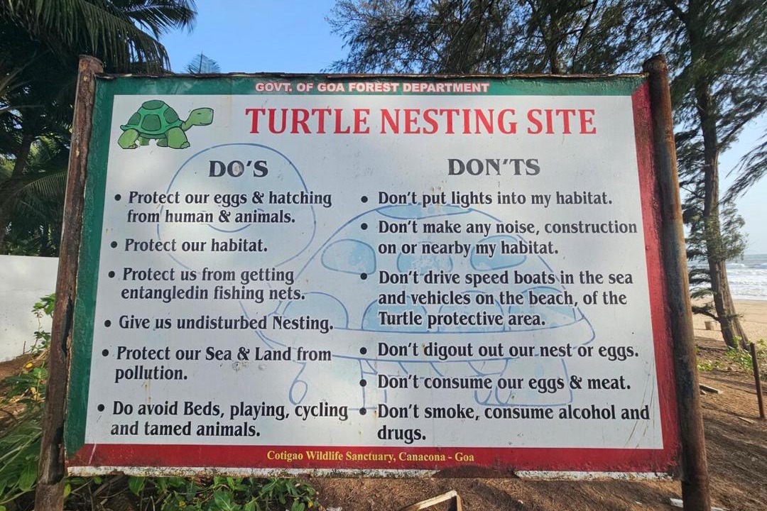 Photo of Others in Patnem