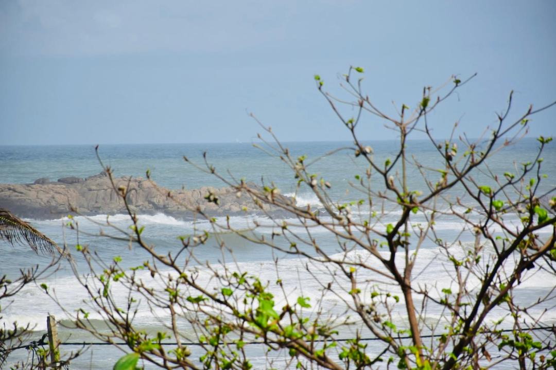 Photo of Others in Kovalam