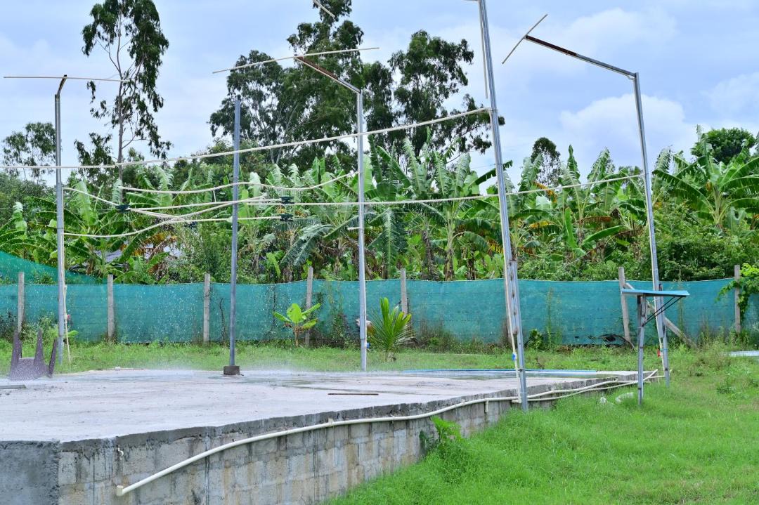 Photo of Others in Madapura