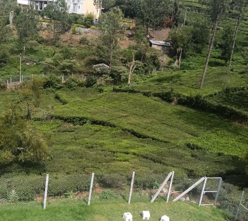 Photo of Others in Kotagiri