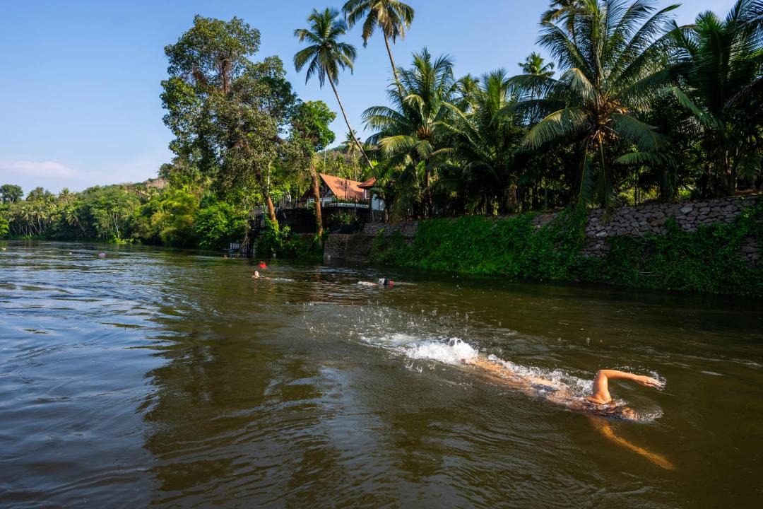 Photo of Others in Muvattupuzha