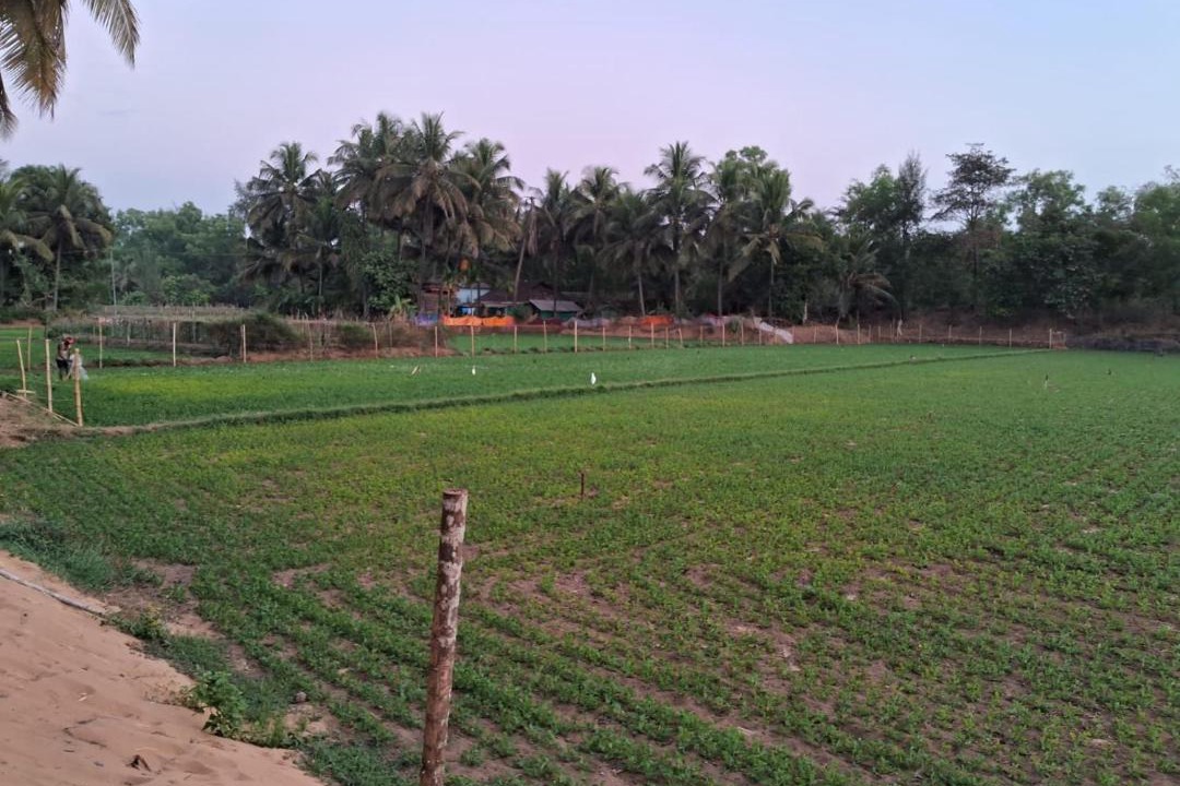 Photo of Others in Hireguthi