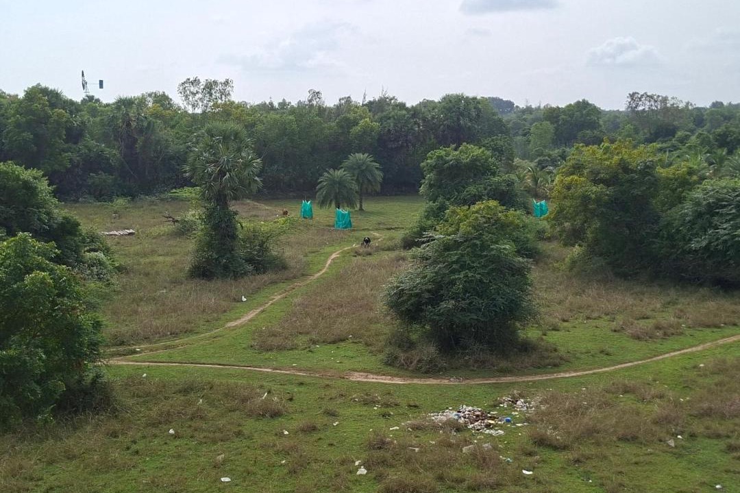 Photo of Others in Auroville