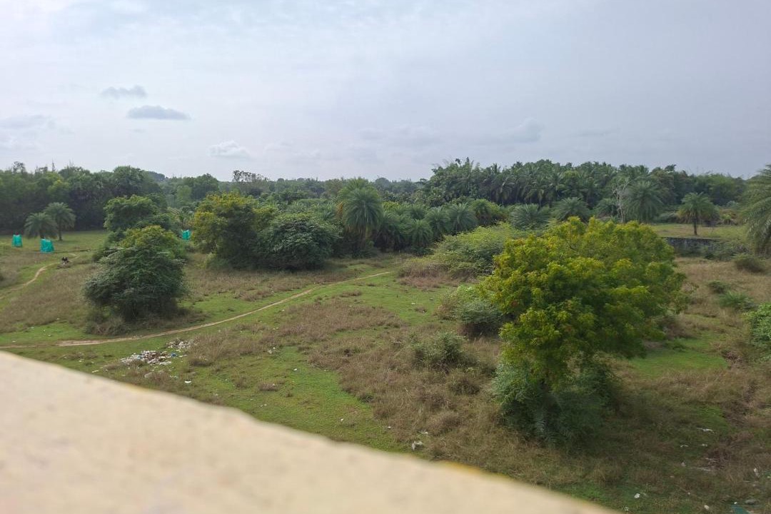 Photo of Others in Auroville