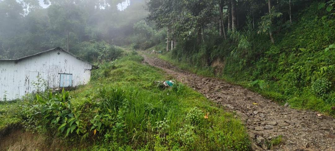 Photo of Others in Lebong and Mineral Spring Tea Garden