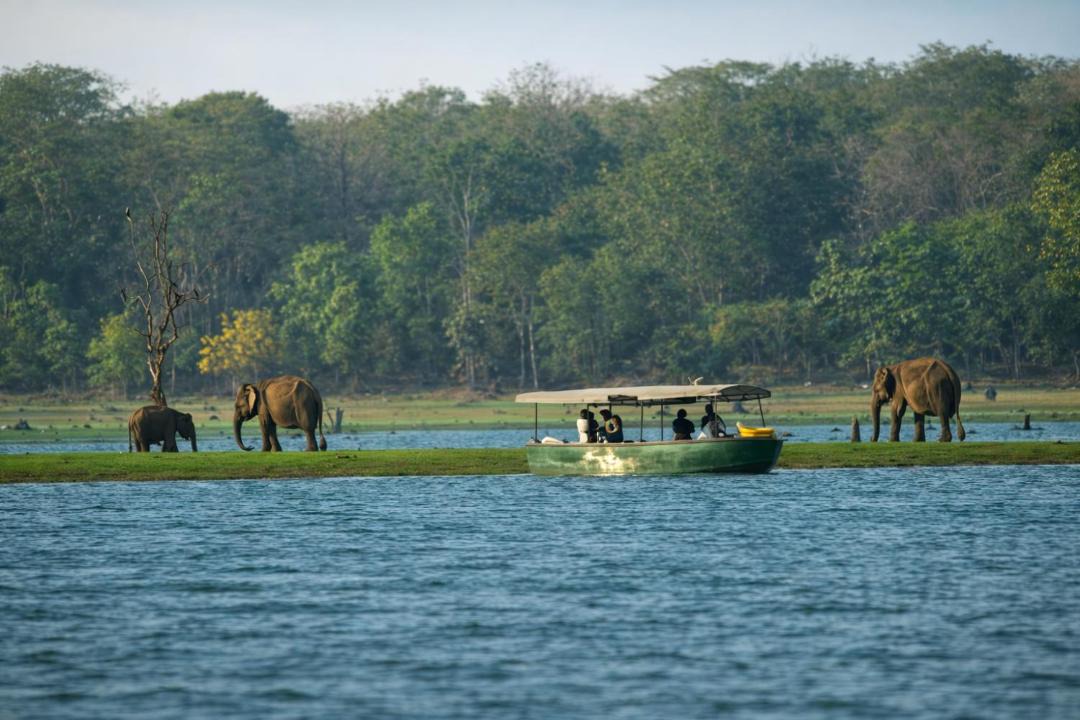 Photo of Others in Bavali