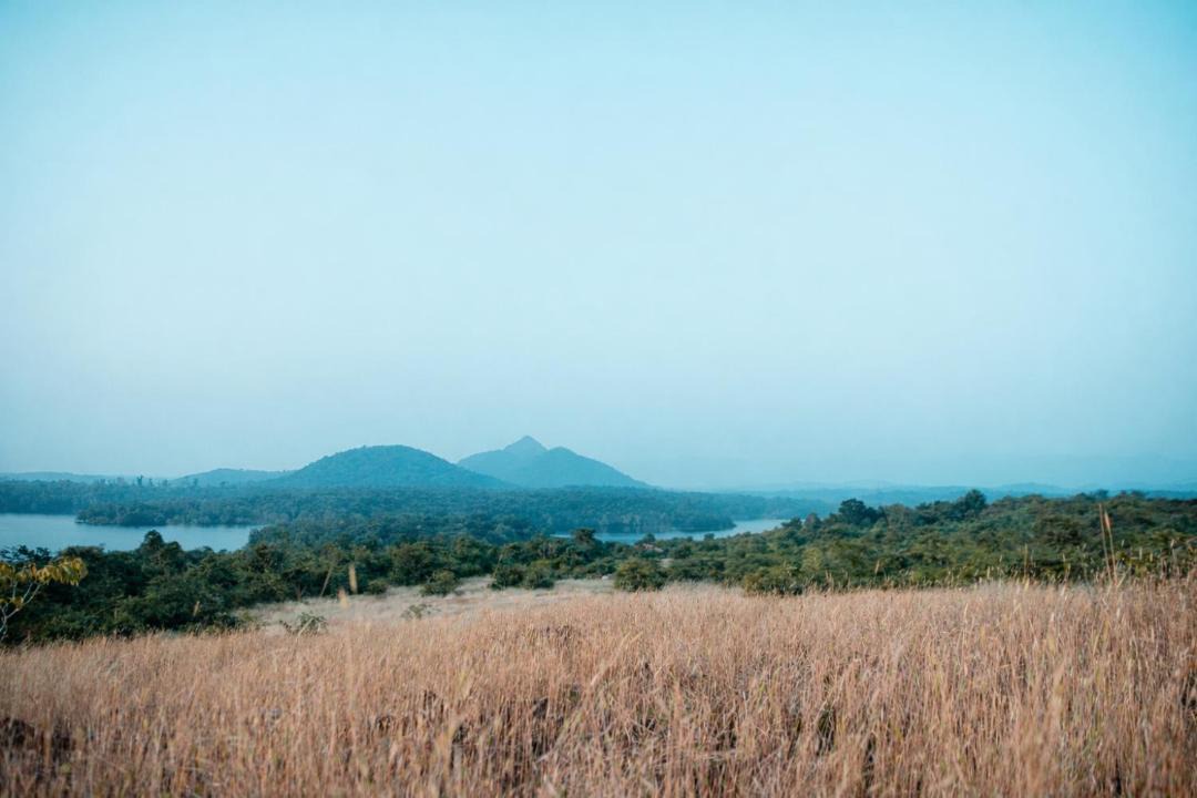 Photo of Others in Netravali