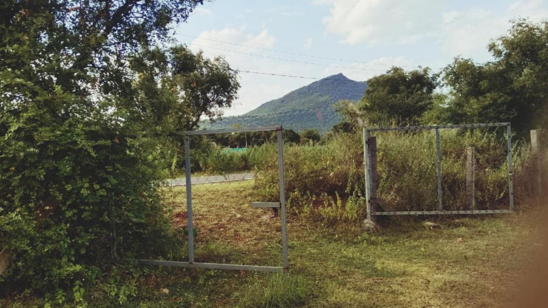 Photo of Others in Tiruvannamalai