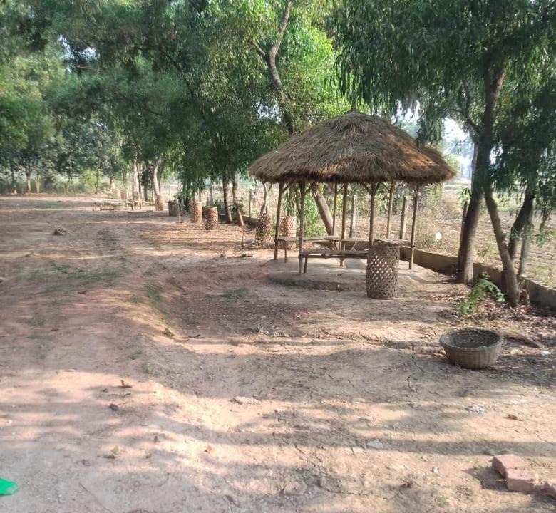 Photo of Others in Bolpur